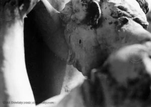 Fiumei úti nemzeti sírkert - Fiume Road National Graveyard / Budapest, Hungary