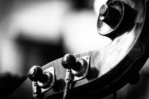 Camerata Pelsonore / Badacsonytomaj, Hungary