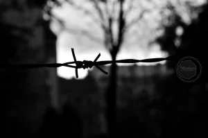 K40 Building - Budapest, Hungary