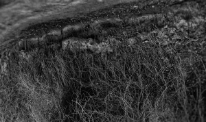 Upside Down World Is Another Universe / Budapest, Hungary