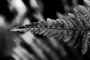 Spring time / Düsseldorf, Germany